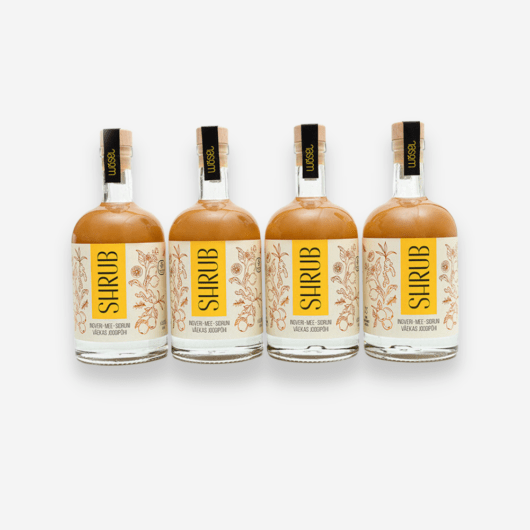Ingveri-mee-sidruni Shrub (4-pakk)