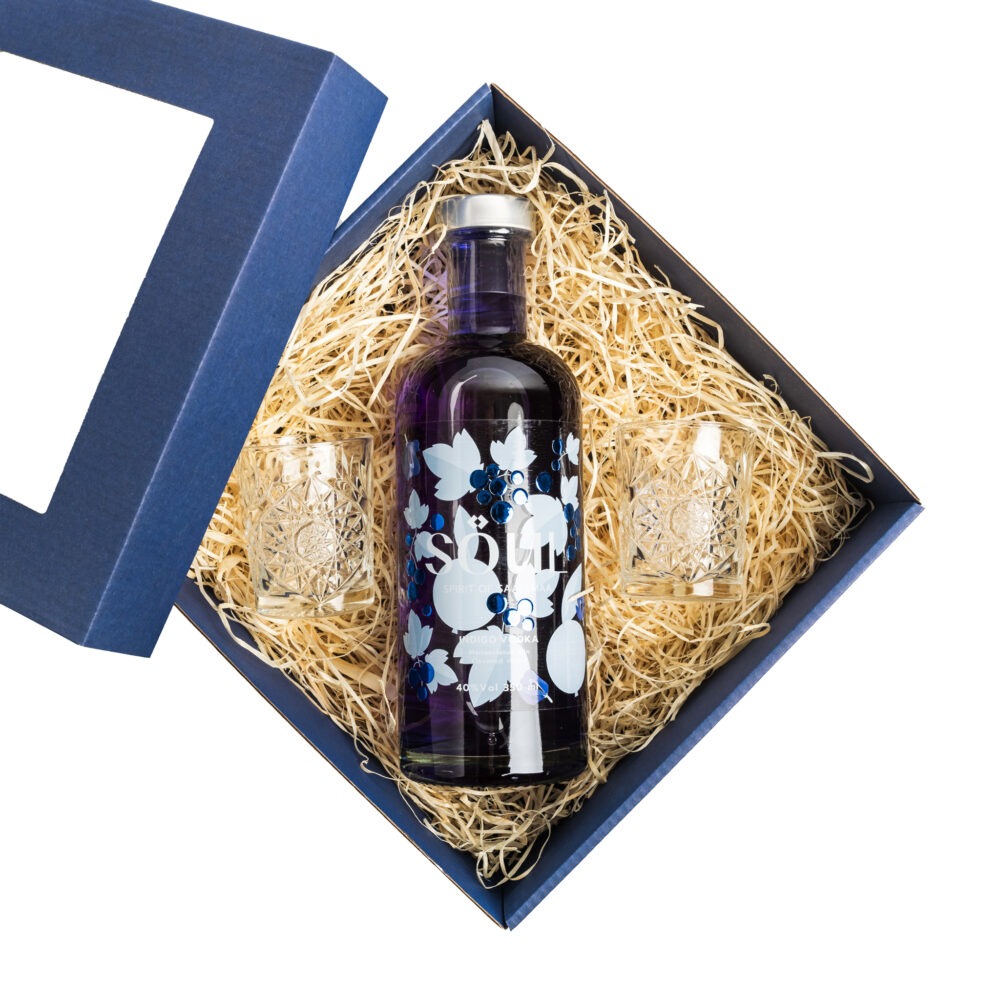 Kinkekomplekt "Indigo Vodka klaasidega"